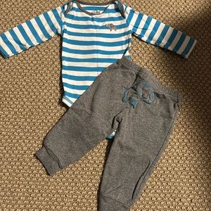 Elephant Set🐘
